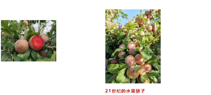 1664439649372663.png 1.png