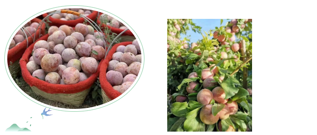 1664439813492822.png 3.png