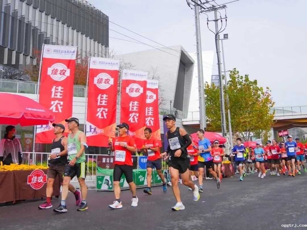 1669780216729170.jpg 10002.jpg