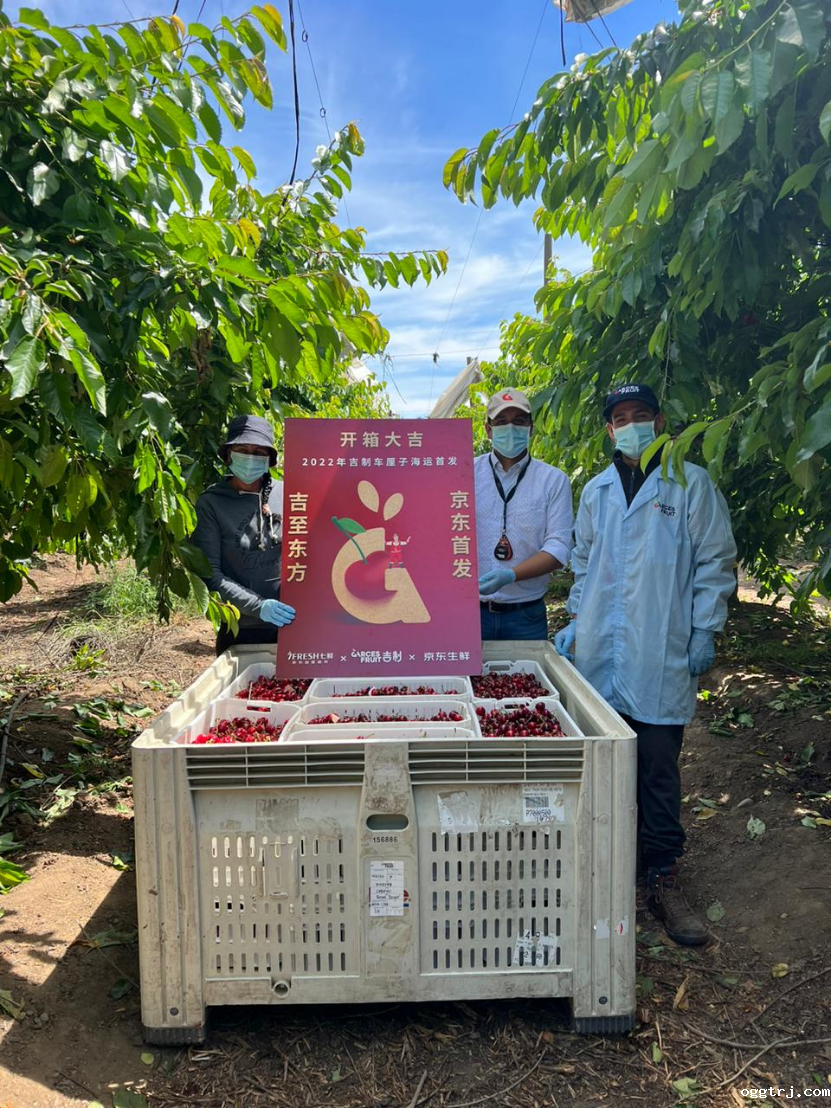 1669875720733266.png 10008.png