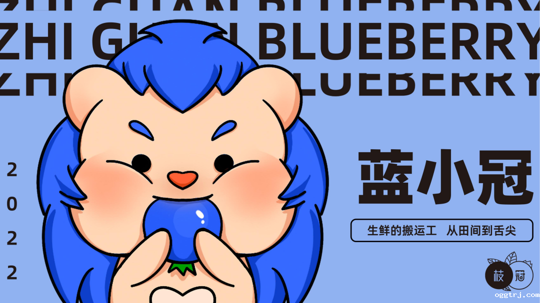 1672017958402512.png 10003.png