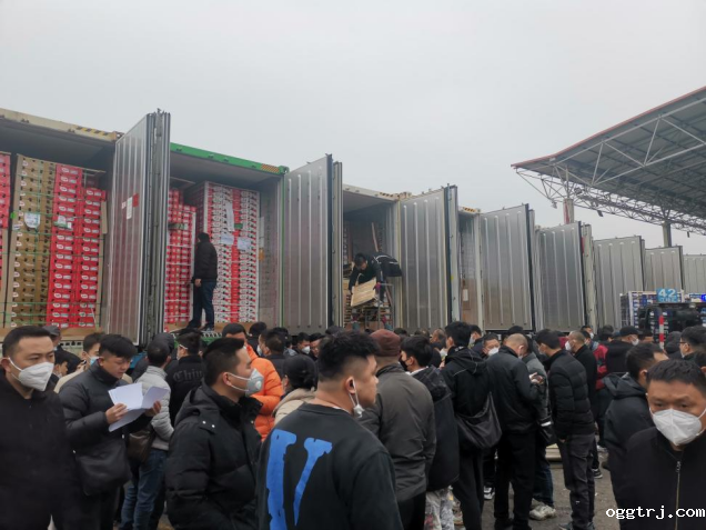 1676599553499148.png 10002.png