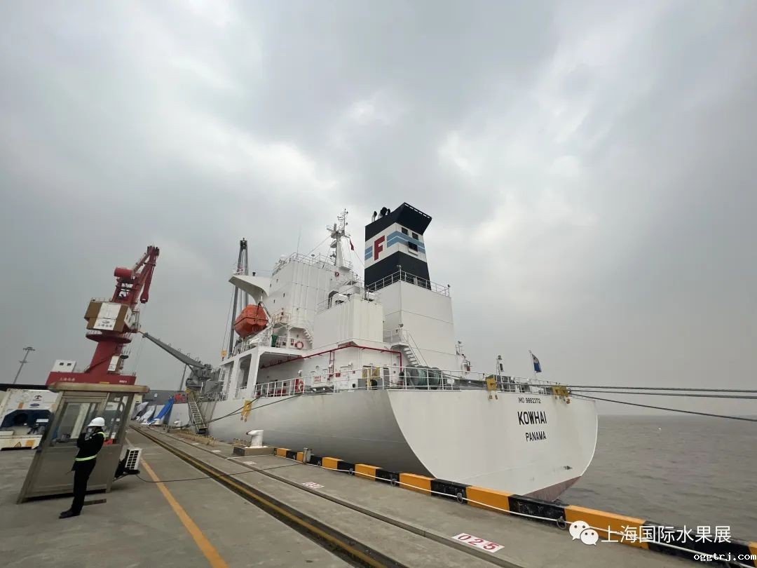 1681117712889515.jpg 10001.jpg