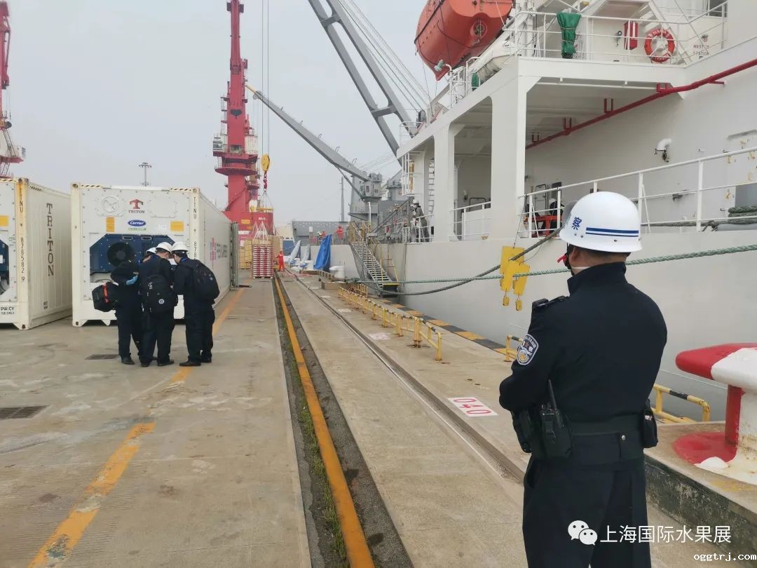 1681117723755825.jpg 10003.jpg