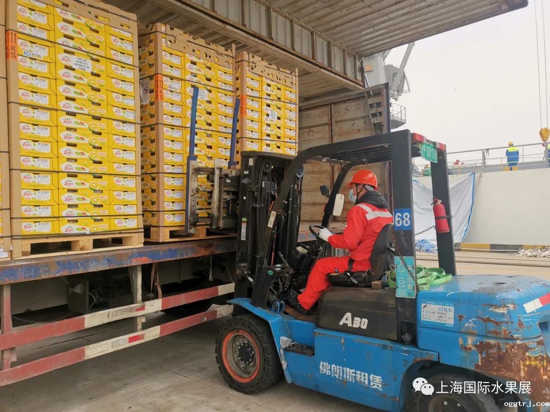 1681117729119133.jpg 10004.jpg