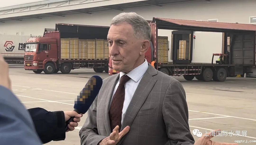 1681117738683894.jpg 10005.jpg