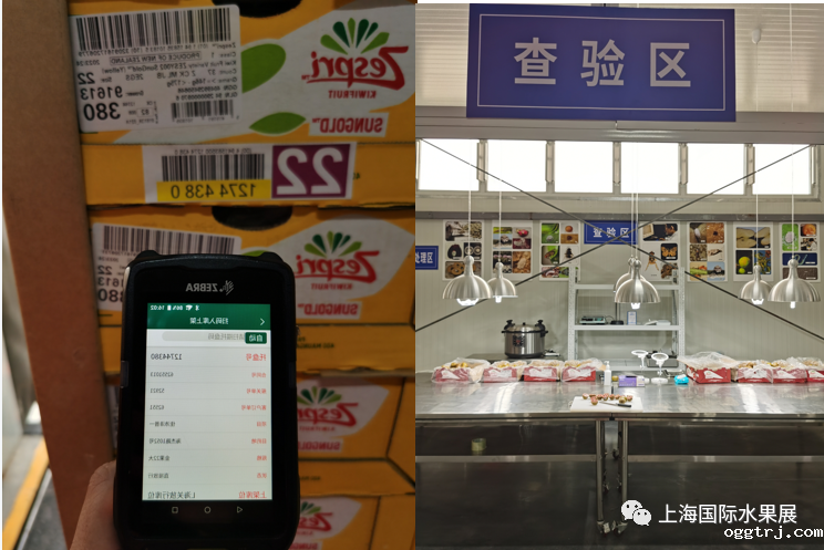 1681117752901718.png 10006.png