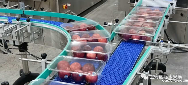 1683272690189341.png 10001.png