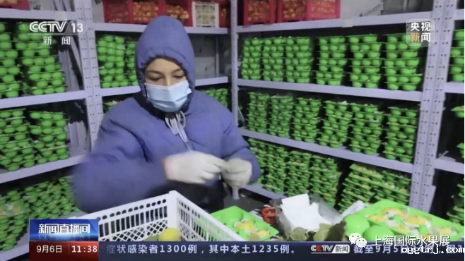 1683272711798246.png 10004.png