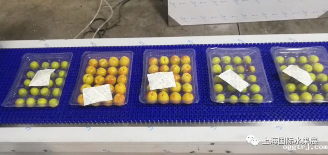 1683272726180198.png 10006.png