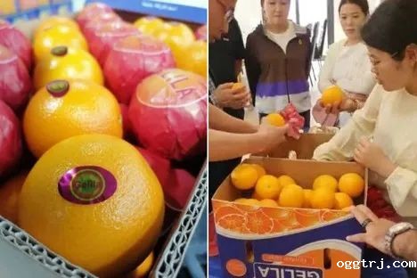 1684255220137576.jpg 10003.jpg