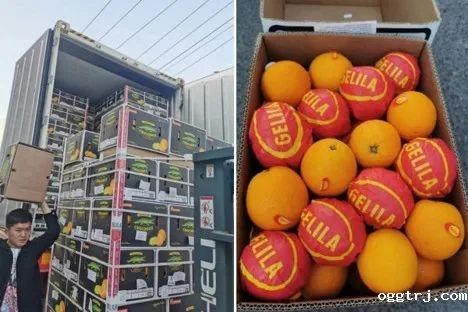 1684255224439873.jpg 10004.jpg