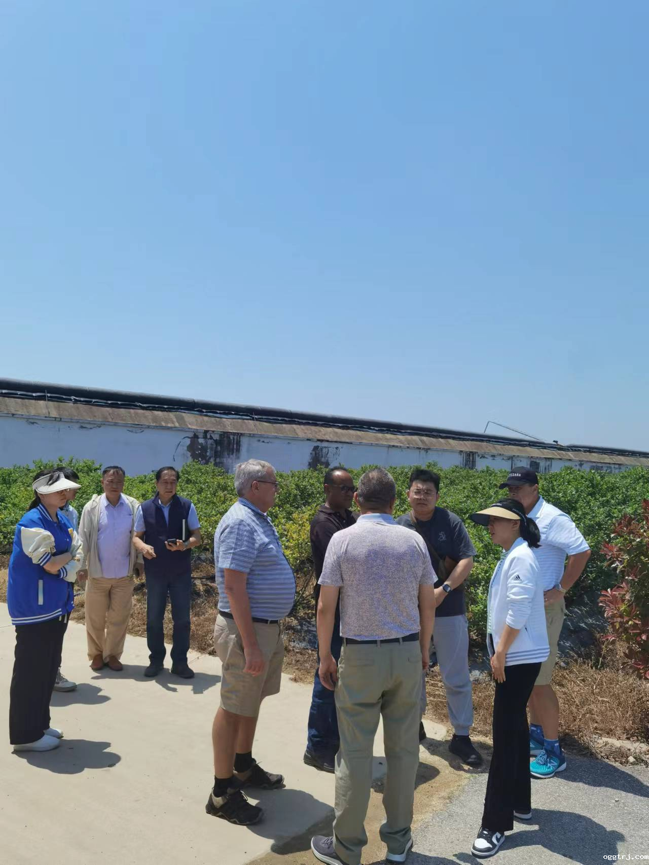 1687687243593962.png 10001.png