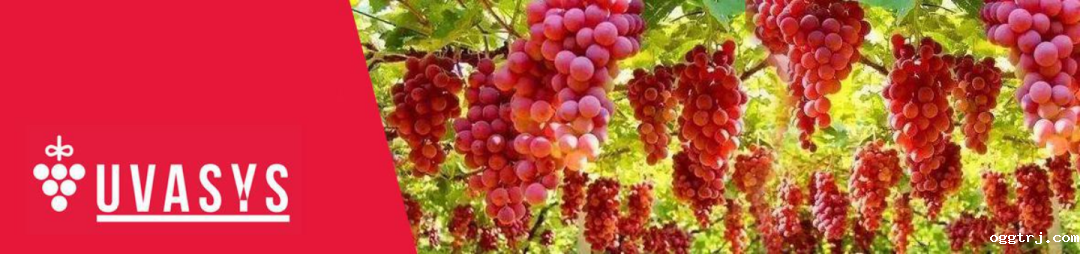 1687687261903310.png 10003.png