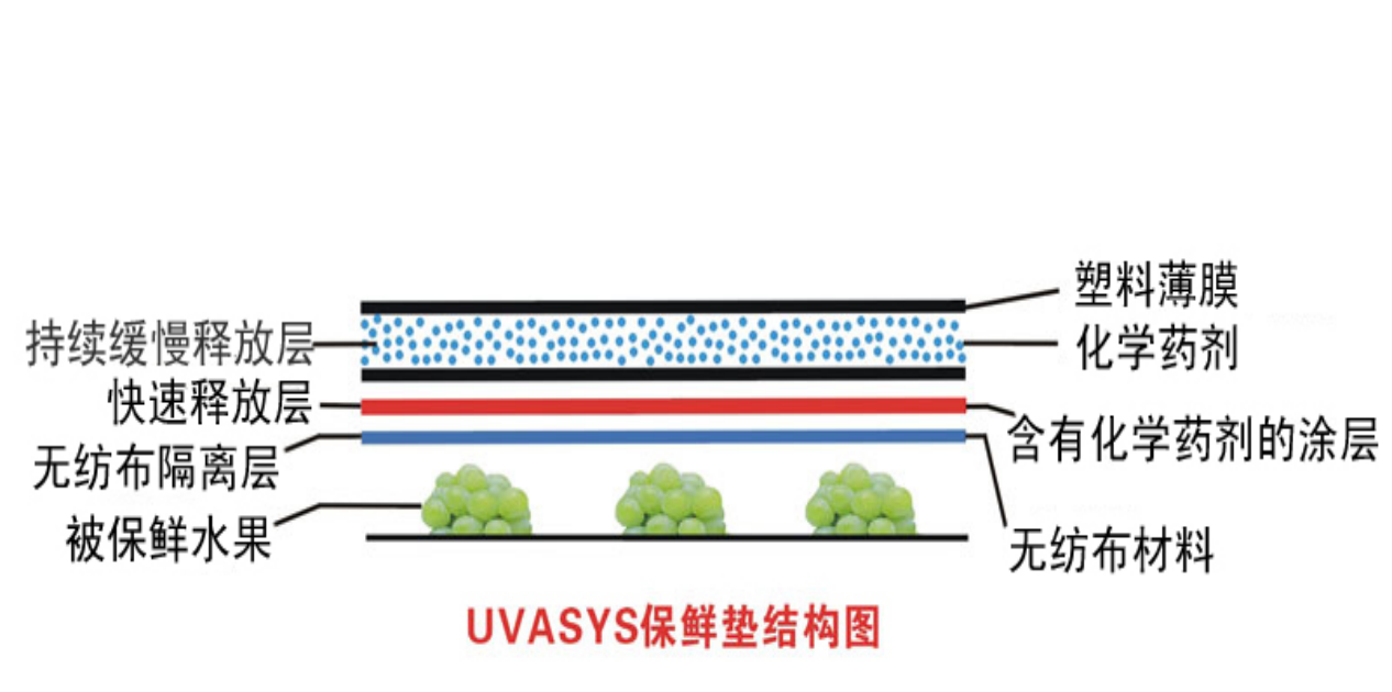 1687687269543662.png 10004.png