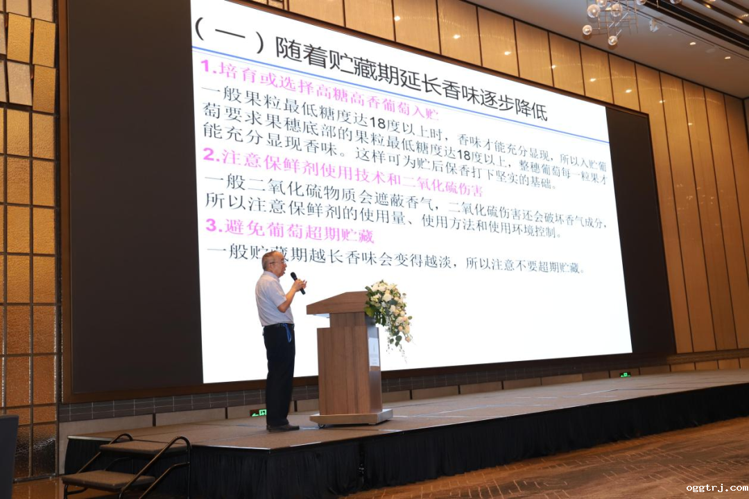 1687687296752835.png 10006.png