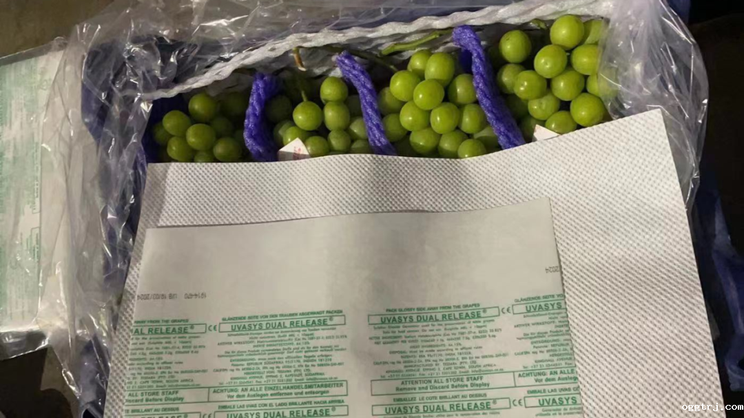 1687687337604854.png 10007.png