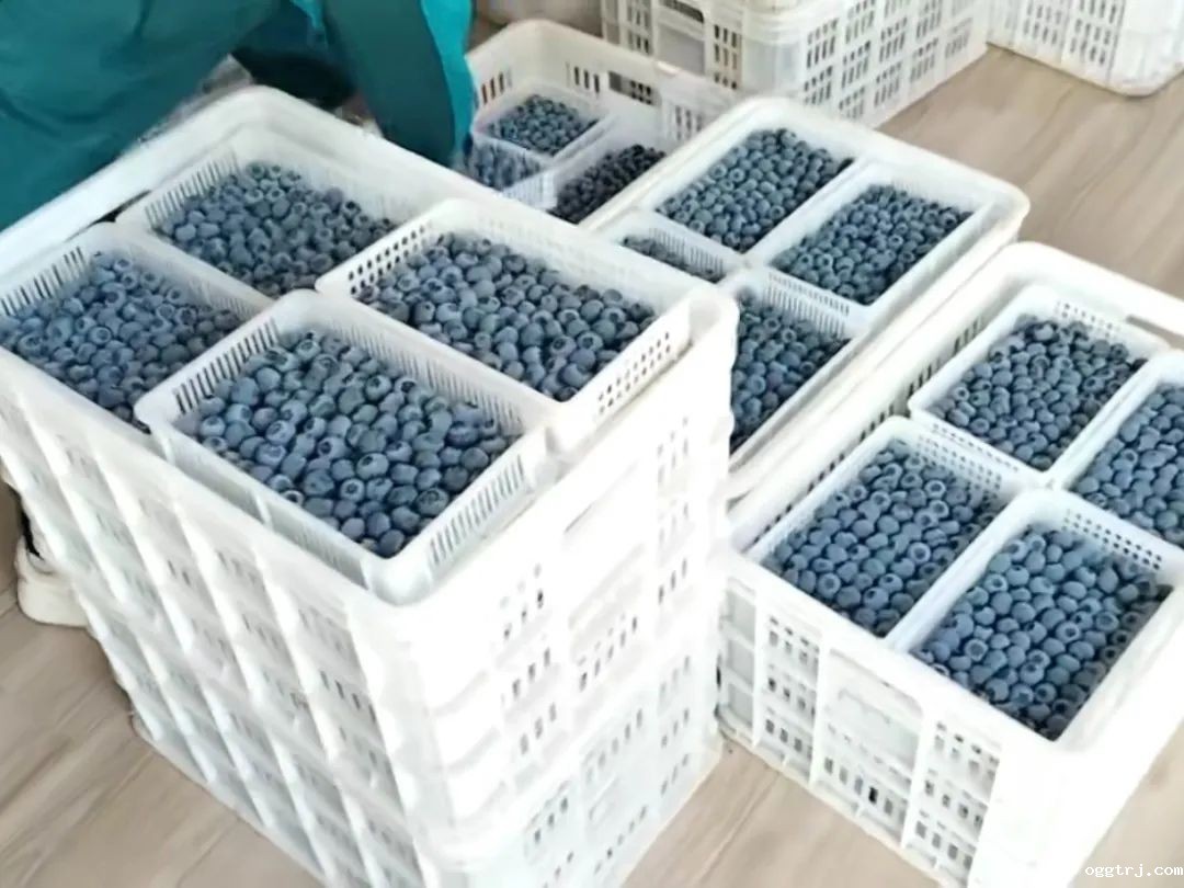 1687687349867191.jpg 10008.jpg