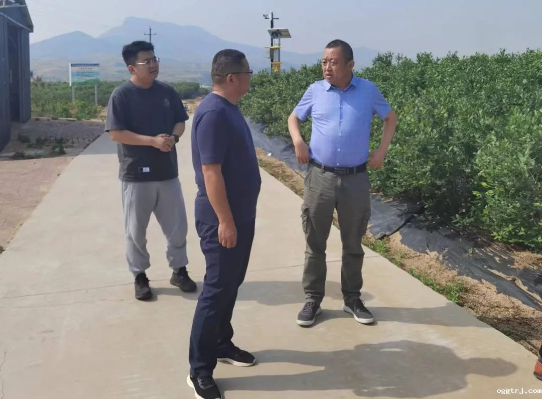 1687687359782690.jpg 10009.jpg