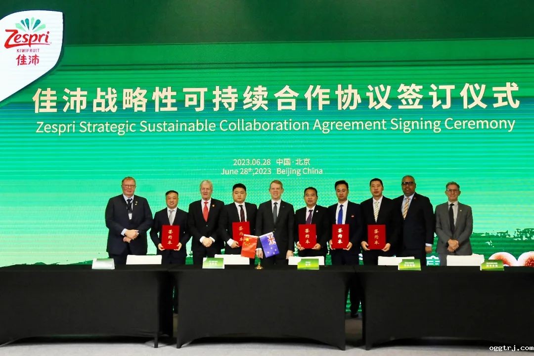 1688121899495533.jpg 10005.jpg