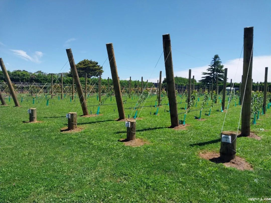 1688463156465932.jpg 10002.jpg