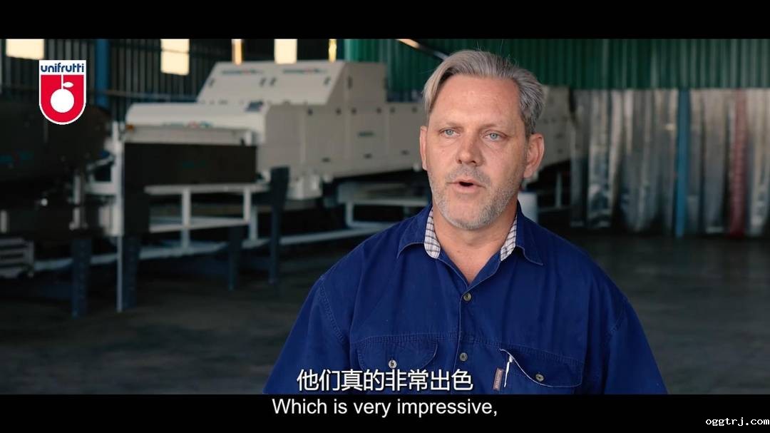 1689230307417401.jpg 10008.jpg