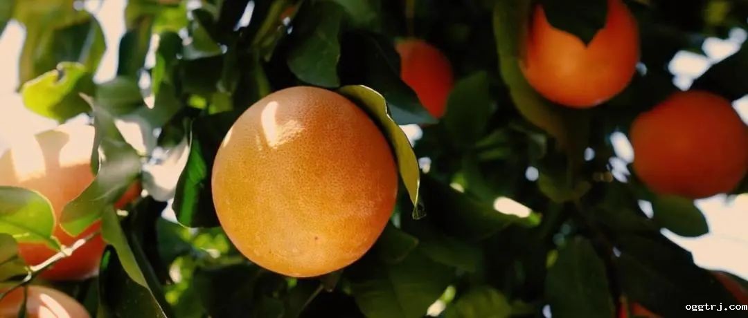 1689230326839271.jpg 10002.jpg