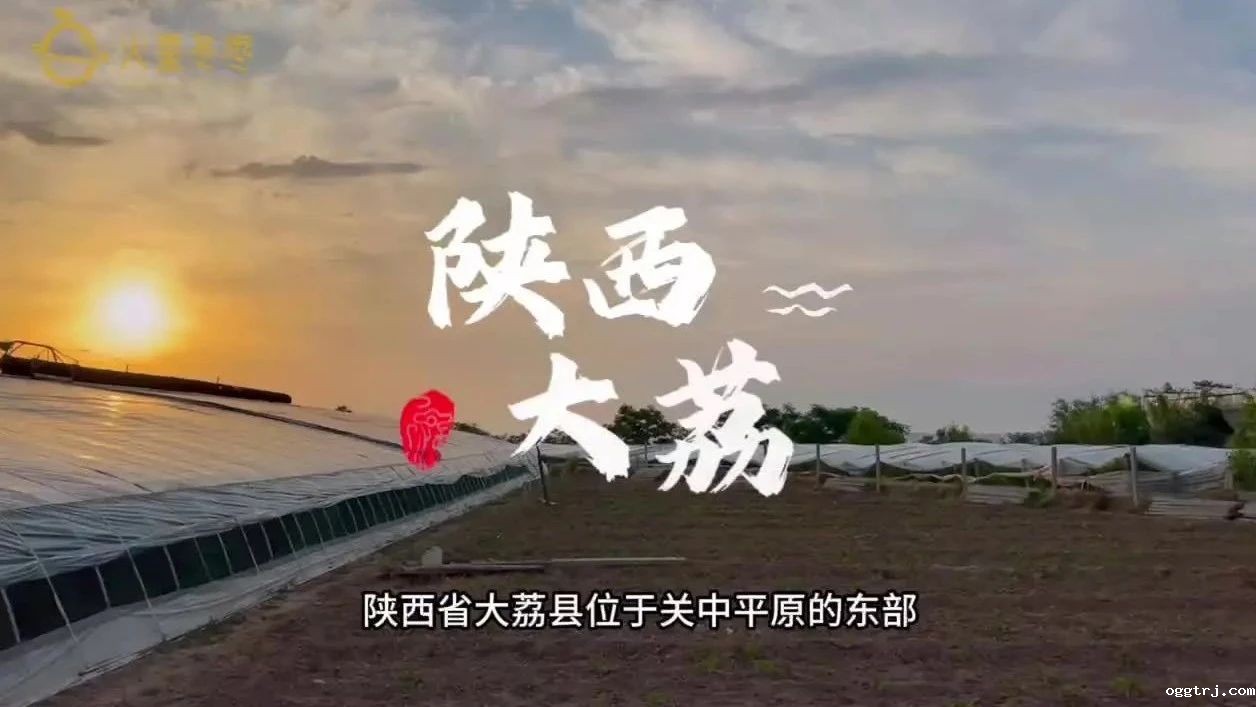 1690775294289222.jpg 10014.jpg