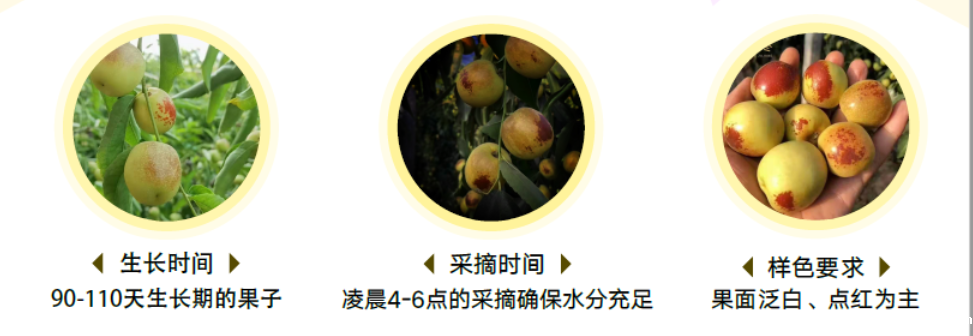 1690775303521121.png 10004.png