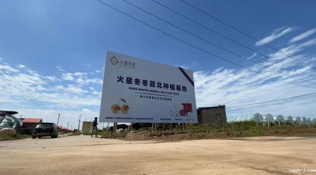 1690775315506997.jpg 10005.jpg