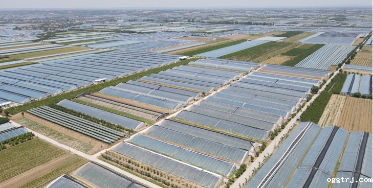 1690775322495188.png 10006.png