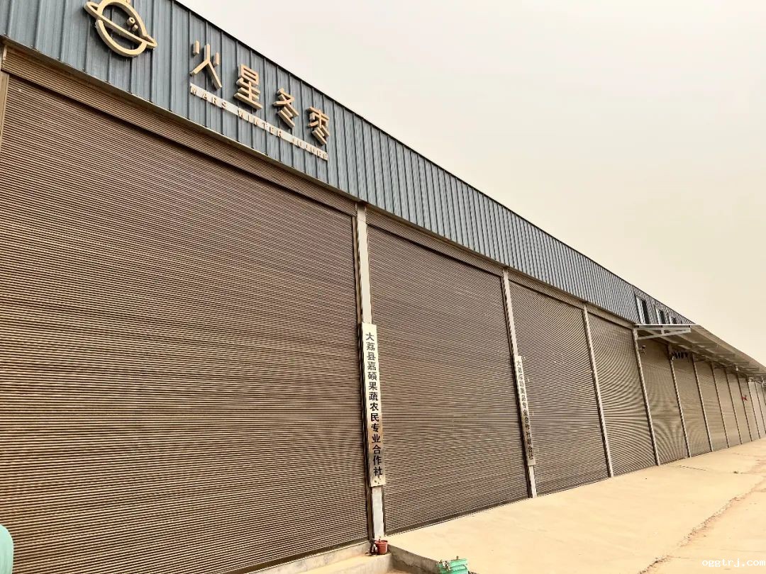 1690775338305107.jpg 10007.jpg