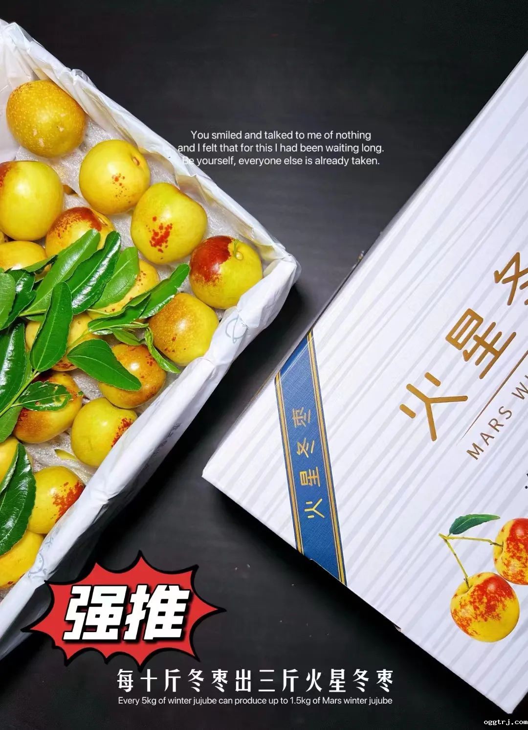 1690775594533188.jpg 10013.jpg