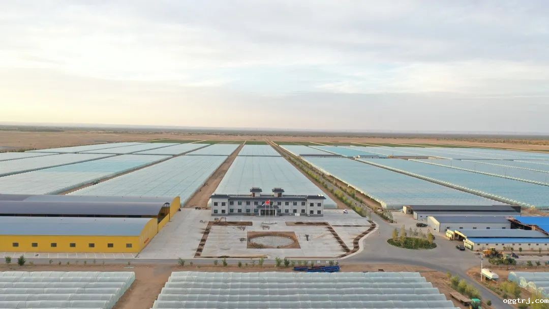 1690940099336209.jpg 10002.jpg