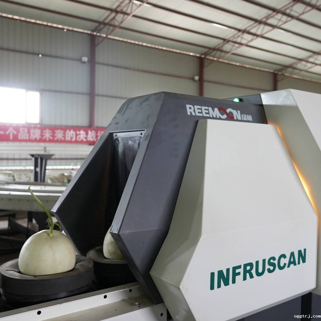 1690940113885375.jpg 10006.jpg