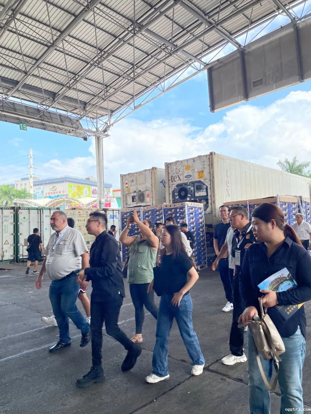 1694415446169656.jpg 10003.jpg