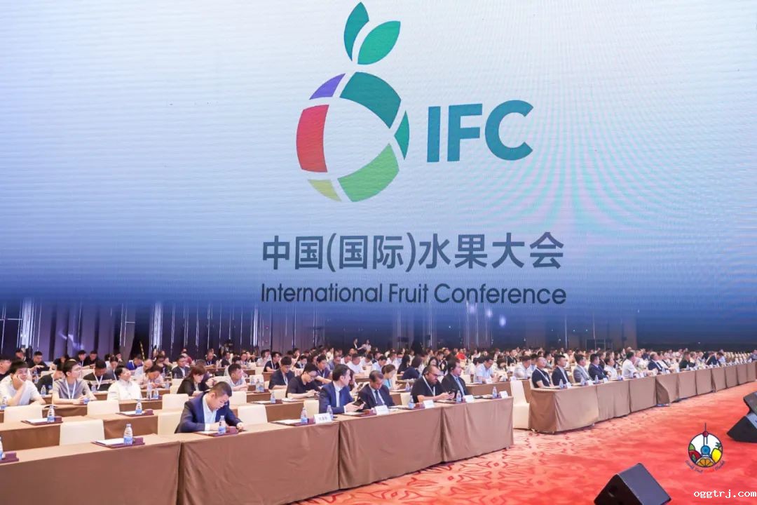 1694571639488900.jpg 10003.jpg