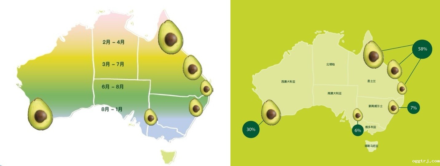 1706170610951956.jpg 1+2.jpg