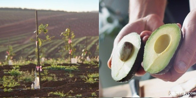 1706170620350813.jpg 6+7.jpg