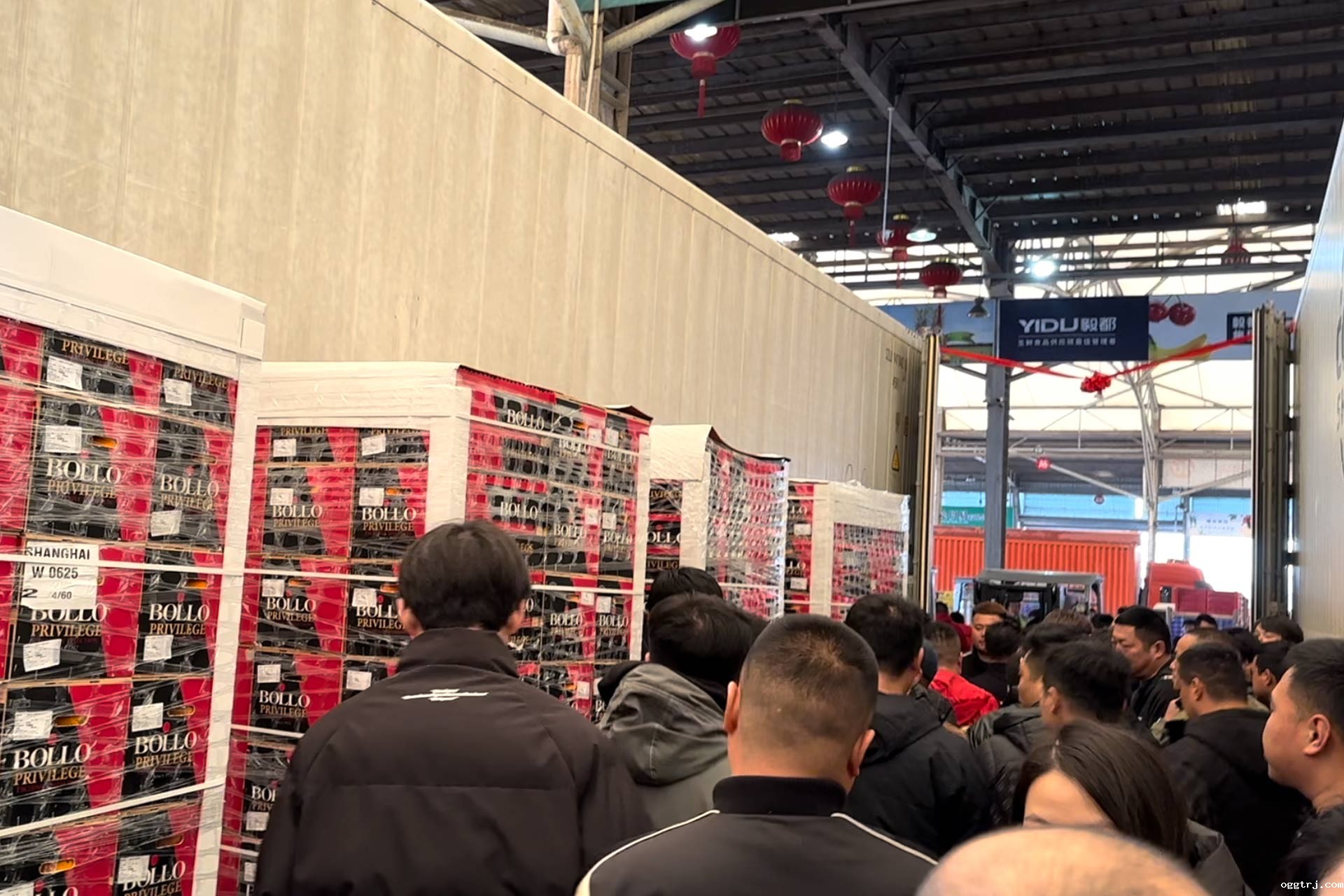 1711527051581389.jpg 15.jpg