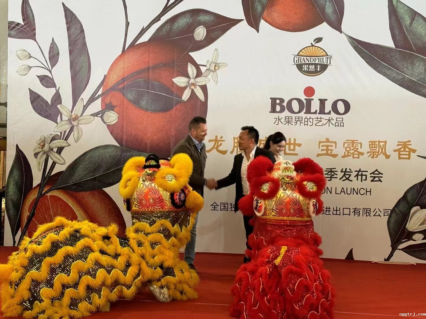 1711527084486120.jpg 16.jpg