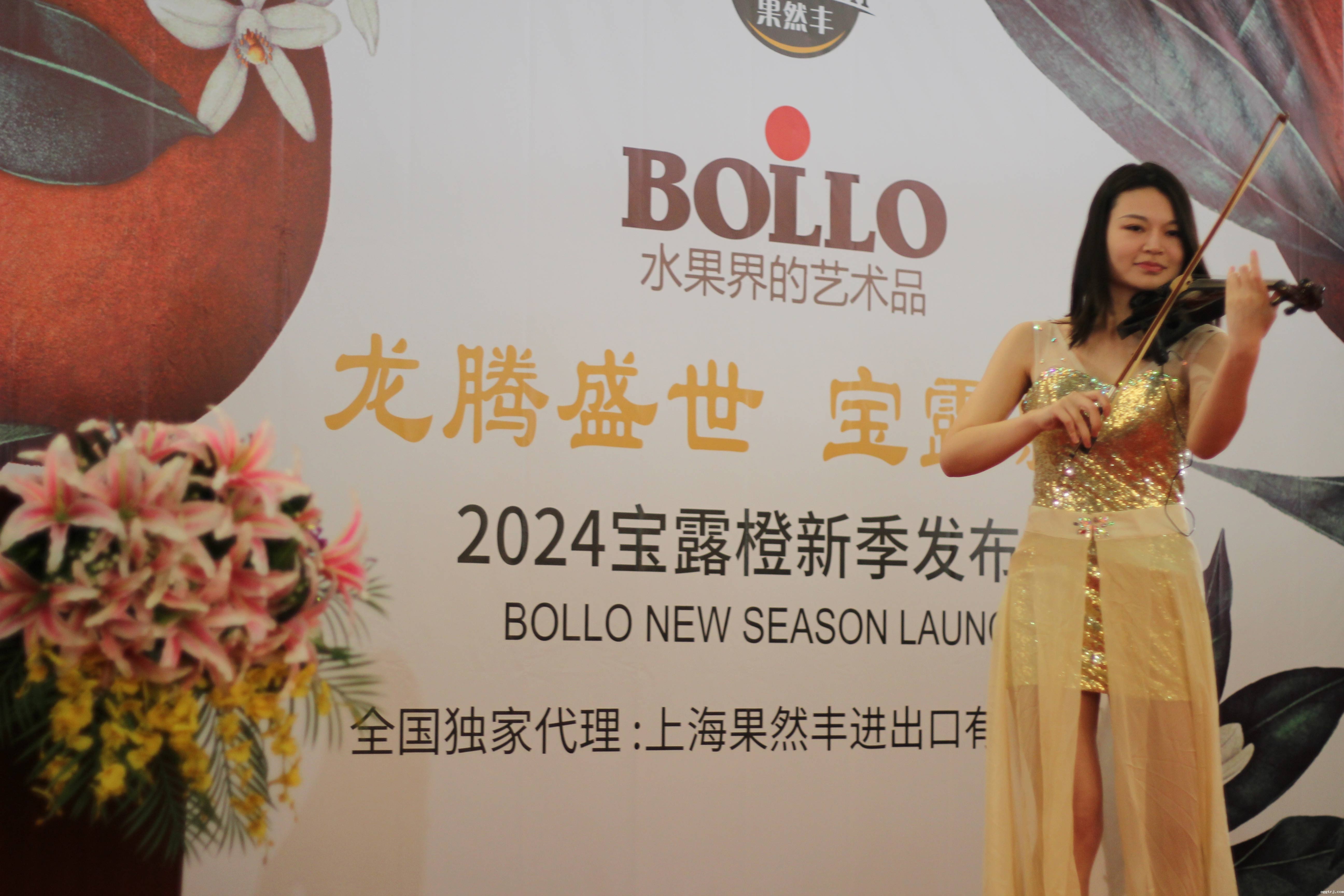 1711527105279896.jpg 8.jpg