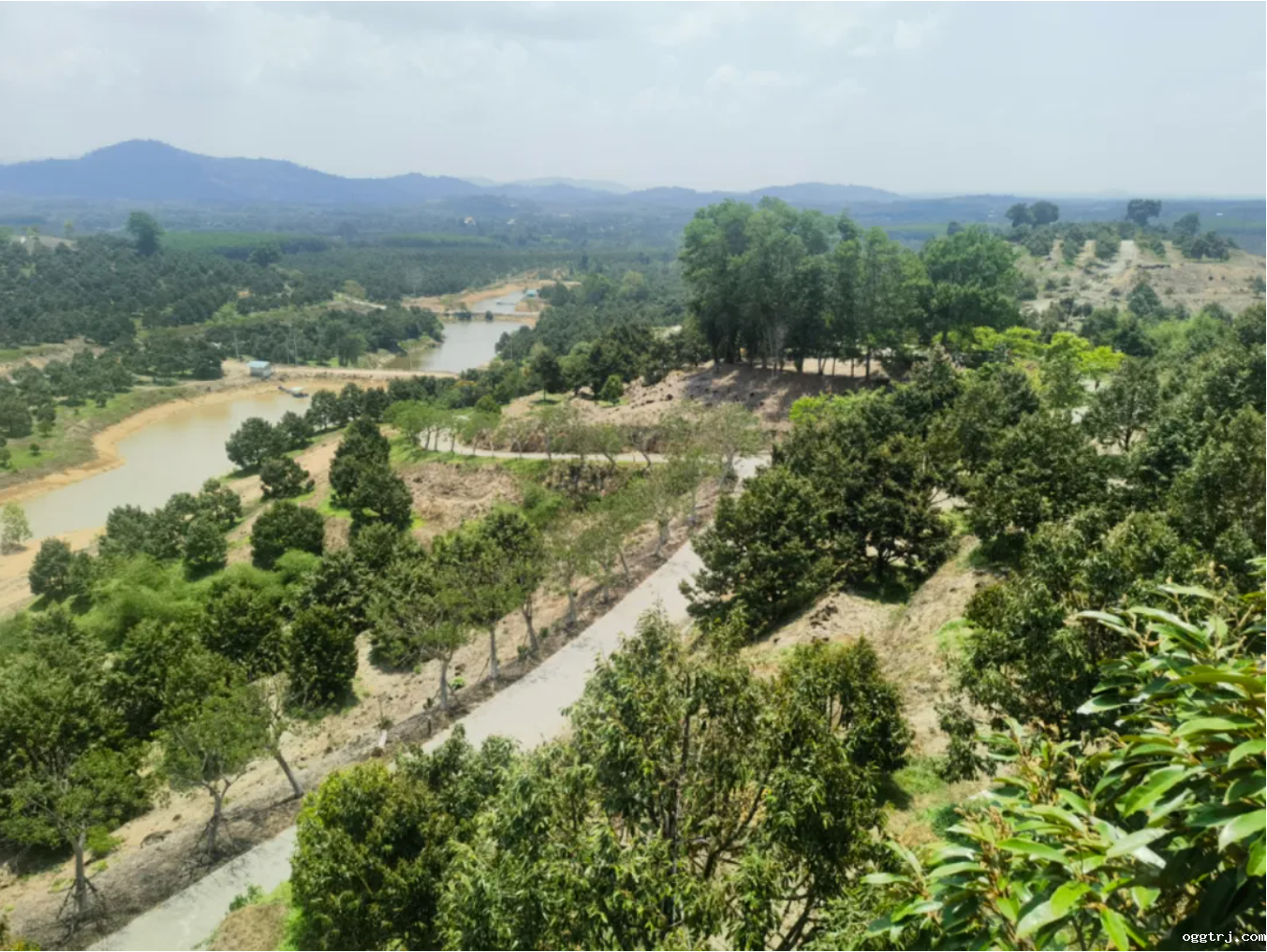 1715051509169471.png ....2.png