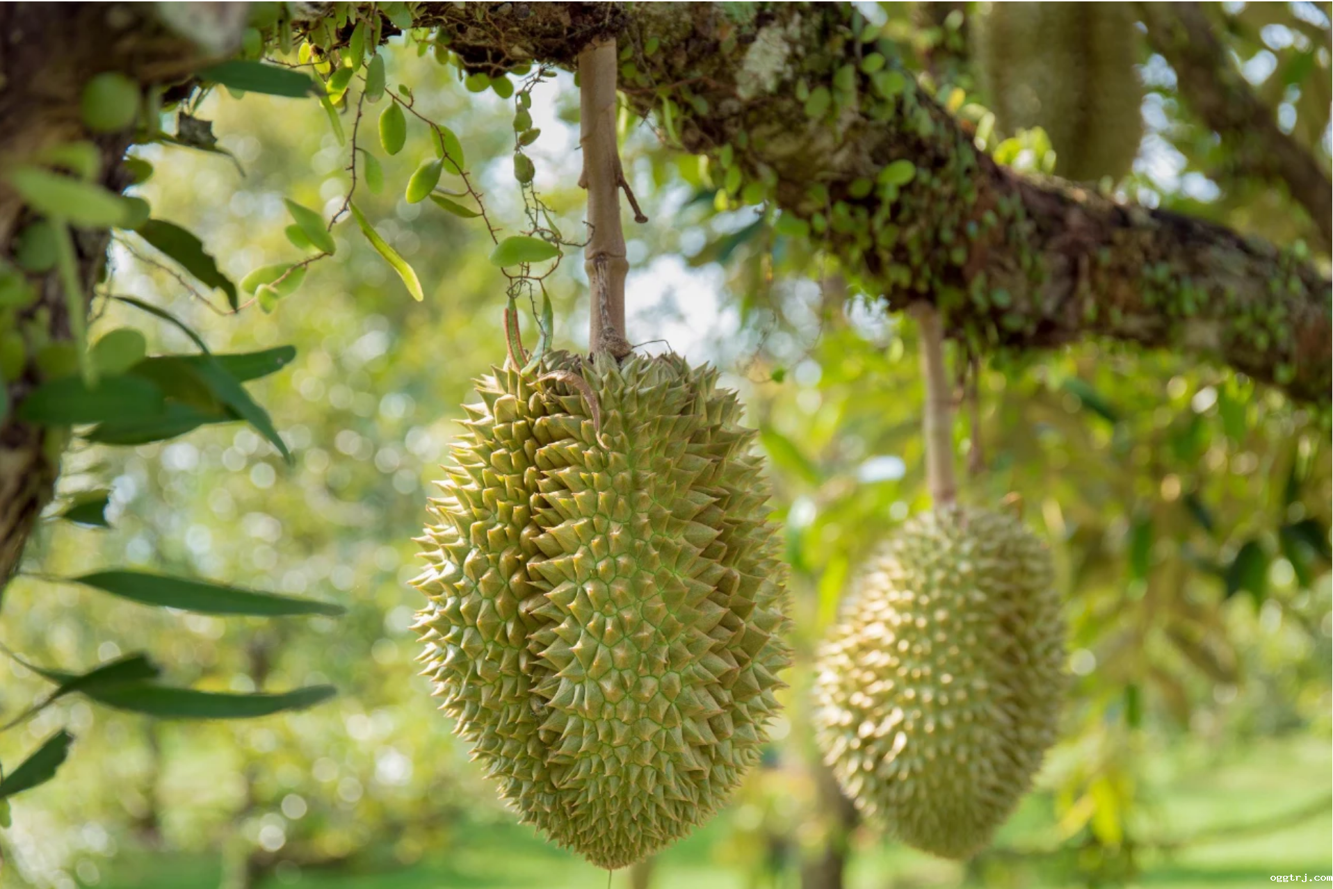 1715051515117658.png ....3.png