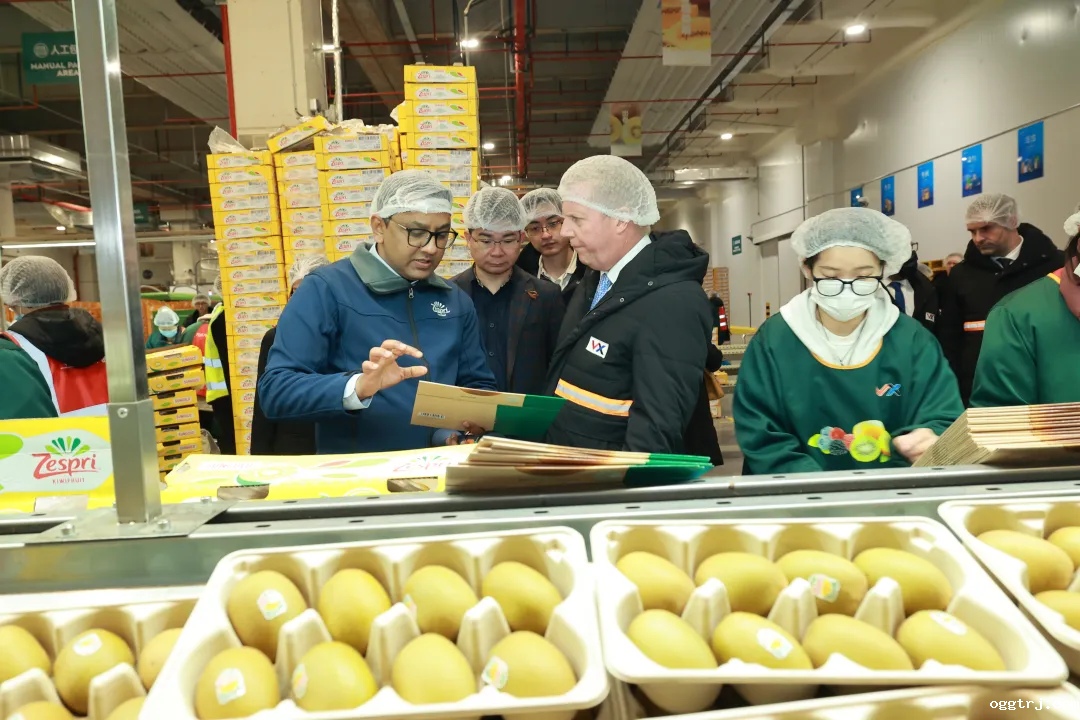 1718183010922730.png 640 (3)_结果.png