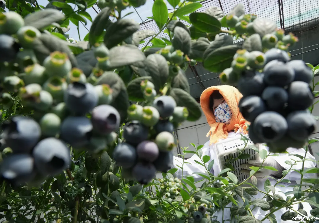 1718183226123577.png 640 (6)_结果.png