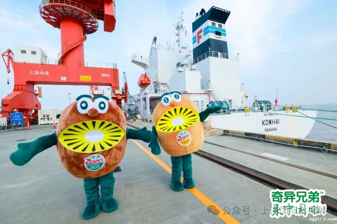 1718183928551223.png 640 (17)_结果.png