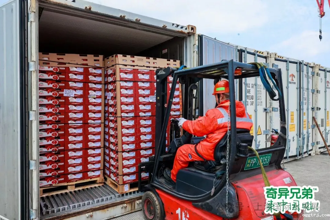 1718183944734062.png 640 (19)_结果.png