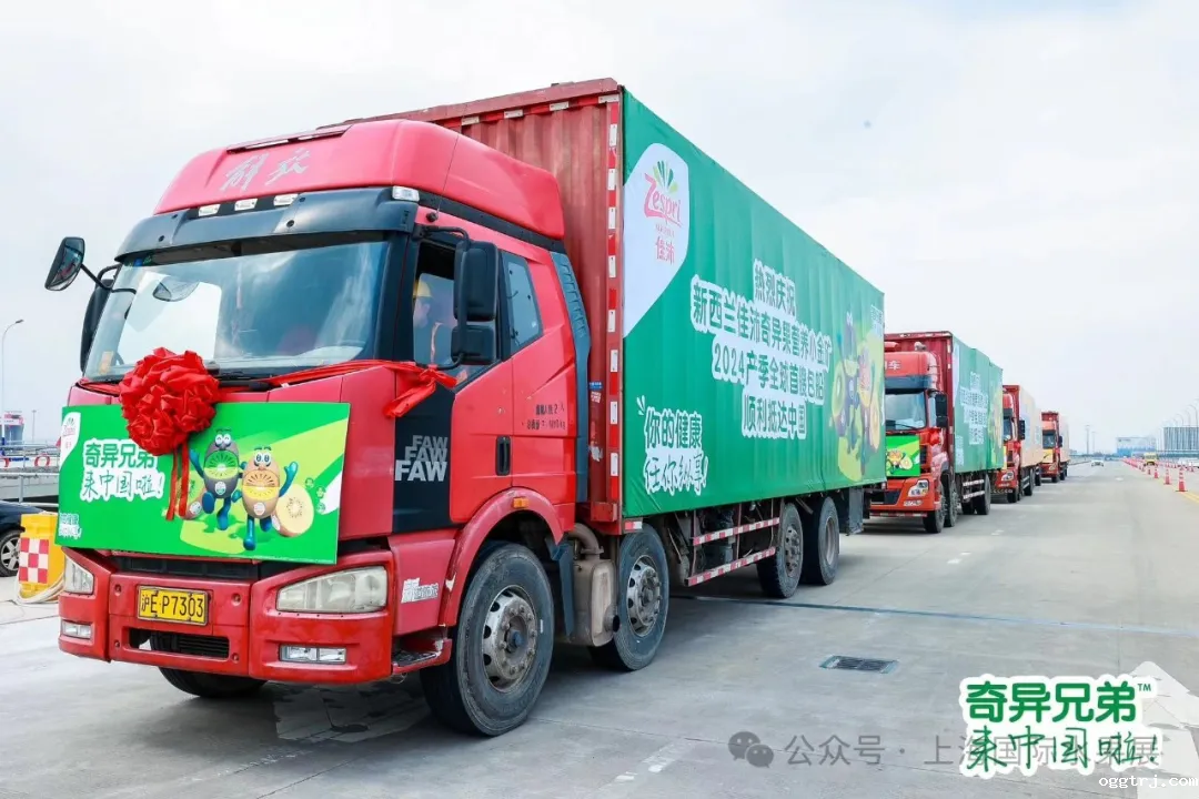 1718183958499050.png 640 (21)_结果.png