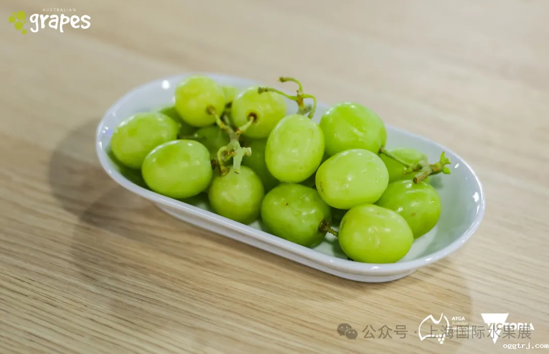 1718184116611757.png 640 (24)_结果.png